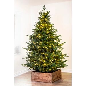 OFF 50% The 8ft Pre-lit Ultra Mountain Pine  ... Christmas Tree World